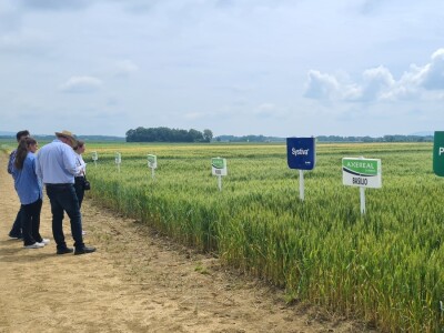 Dan polja pivarskog ječma Axereal