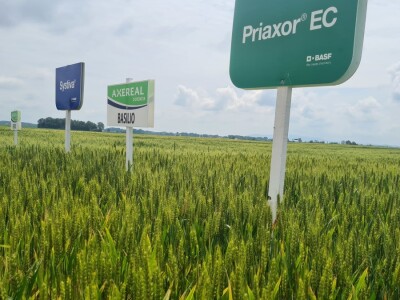 Dan polja pivarskog ječma Axereal