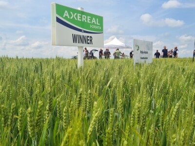 Dan polja pivarskog ječma Axereal