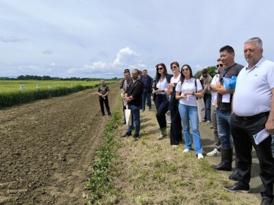 Dan polja pivarskog ječma - Axereal Croatia 2025