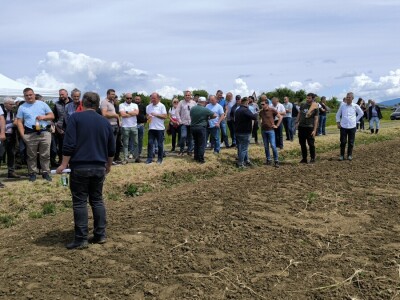 Dan polja pivarskog ječma - Axereal Croatia 2025