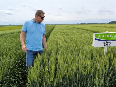 Dan polja pivarskog ječma - Axereal Croatia 2025