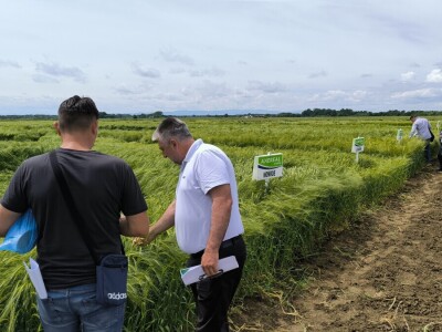 Dan polja pivarskog ječma - Axereal Croatia 2025