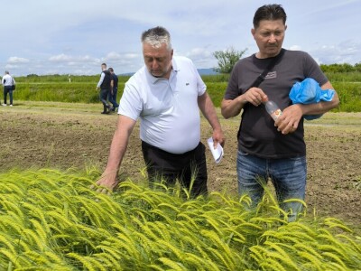 Dan polja pivarskog ječma - Axereal Croatia 2025