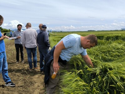 Dan polja pivarskog ječma - Axereal Croatia 2025