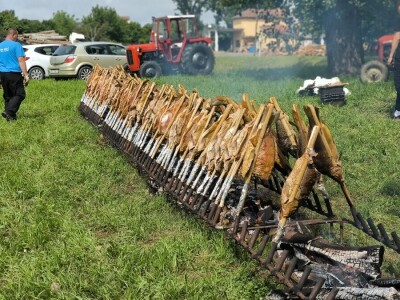 Dan polja pivarskog ječma - Axereal Croatia 2025