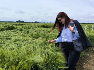 Dan polja pivarskog ječma - Axereal Croatia 2025