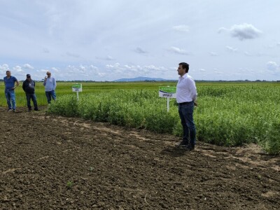 Dan polja pivarskog ječma - Axereal Croatia 2025