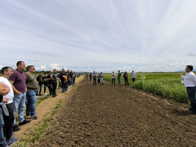 Dan polja pivarskog ječma - Axereal Croatia 2025