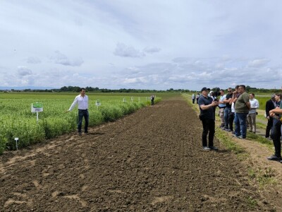 Dan polja pivarskog ječma - Axereal Croatia 2025