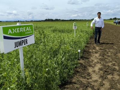 Dan polja pivarskog ječma - Axereal Croatia 2025