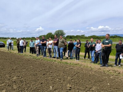 Dan polja pivarskog ječma - Axereal Croatia 2025