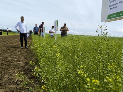 Dan polja pivarskog ječma - Axereal Croatia 2025