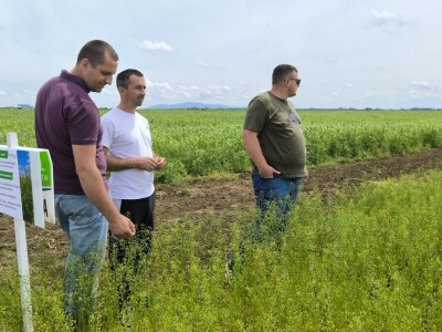 Dan polja pivarskog ječma - Axereal Croatia 2025