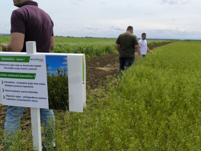 Dan polja pivarskog ječma - Axereal Croatia 2025