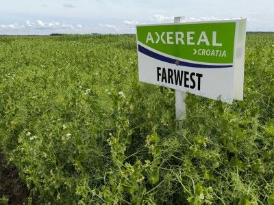 Dan polja pivarskog ječma - Axereal Croatia 2025