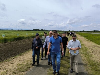 Dan polja pivarskog ječma - Axereal Croatia 2025