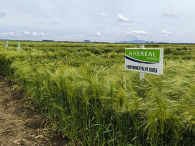 Dan polja pivarskog ječma - Axereal Croatia 2025