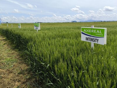 Dan polja pivarskog ječma - Axereal Croatia 2025