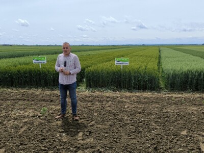 Dan polja pivarskog ječma - Axereal Croatia 2025