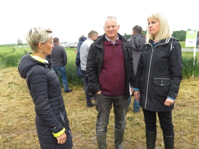 Dan polja pšenice RWA