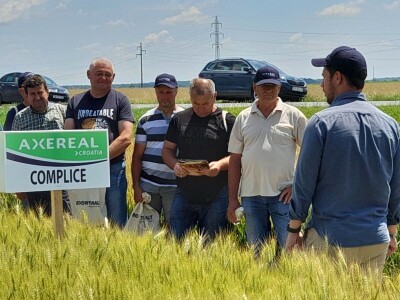Dan polja pšenice tvrtke Axereal Croatia