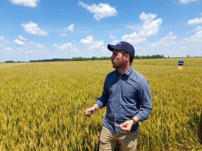 Dan polja pšenice tvrtke Axereal Croatia