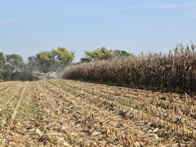 Dan polja RWA kukuruza u Gudovcu