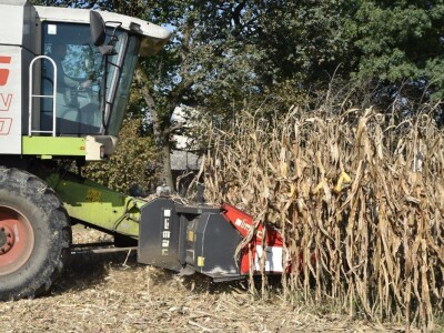 Dan polja RWA kukuruza u Gudovcu