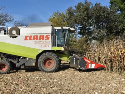 Dan polja RWA kukuruza u Gudovcu