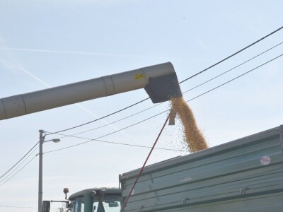 Dan polja RWA kukuruza u Gudovcu