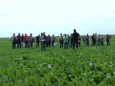 Dan polja šećerne repe