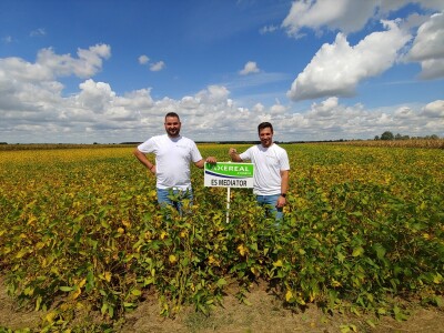 Dan polja soje Axereal, Komletinci