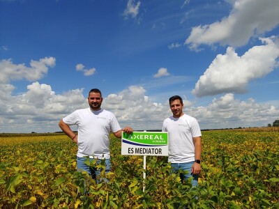 Dan polja soje Axereal, Komletinci