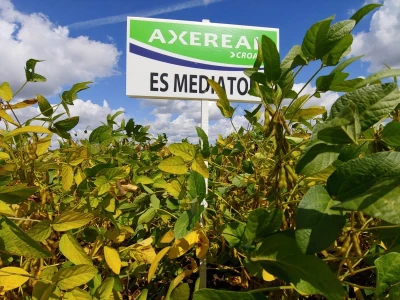 Dan polja soje Axereal, Komletinci