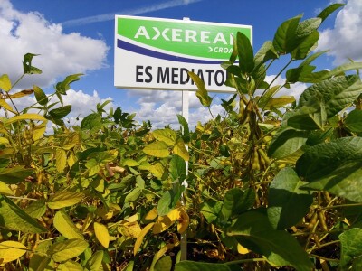 Dan polja soje Axereal, Komletinci