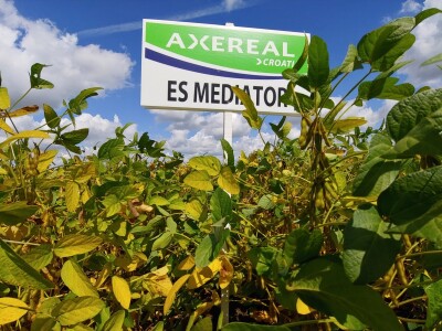 Dan polja soje Axereal, Komletinci