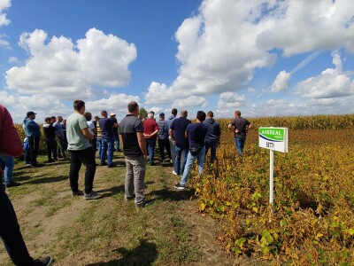 Dan polja soje Axereal, Komletinci