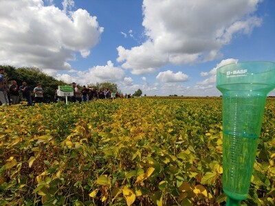 Dan polja soje Axereal, Komletinci