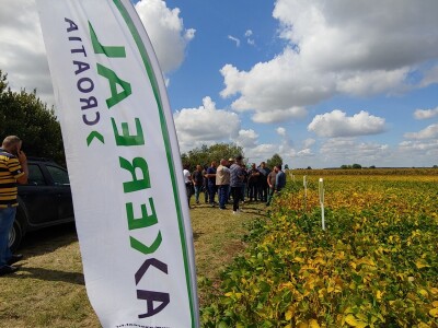 Dan polja soje Axereal, Komletinci