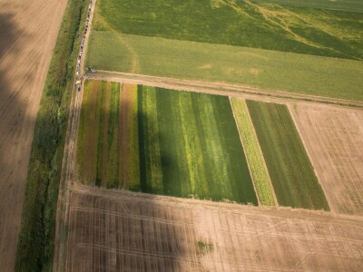 Dan polja soje Axereal, N. Gradiška (Gama-video studio)