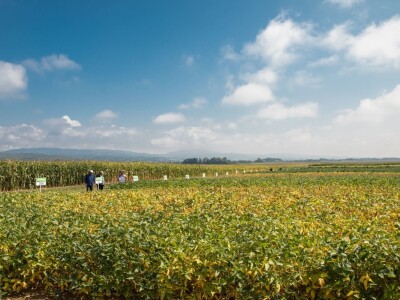 Dan polja soje Axereal, N. Gradiška (Gama-video studio)