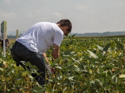 Dan polja soje Axereal, N. Gradiška (Gama-video studio)