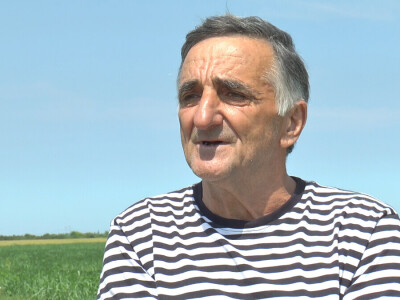 Dan polja strnih žita