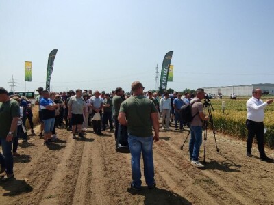 Dan polja strnih žitarica