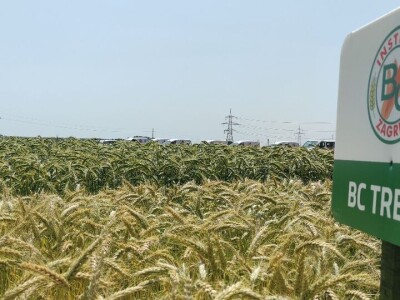 Dan polja strnih žitarica