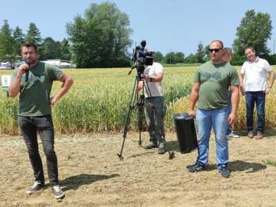 Dan polja strnih žitarica