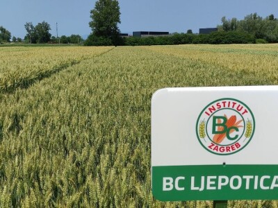 Dan polja strnih žitarica