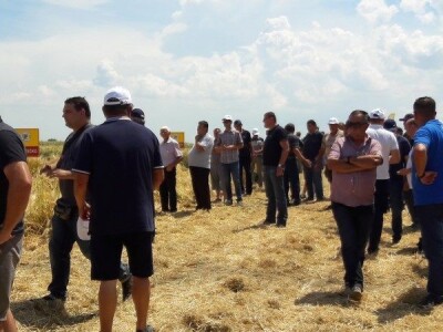 Dan polja strnih žitarica Bc Instituta u Lovasu