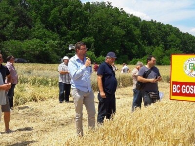 Dan polja strnih žitarica Bc Instituta u Lovasu